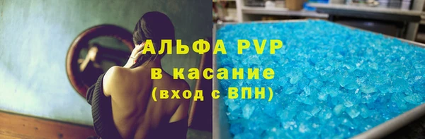 гашик Алексин