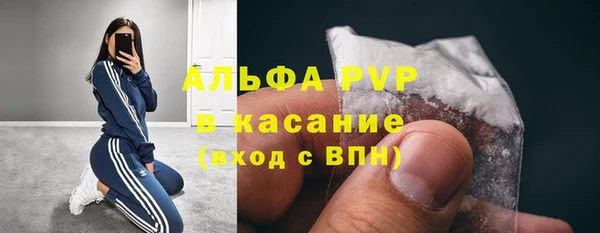 гашик Алексин