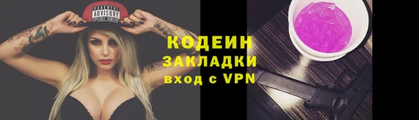 гашик Алексин