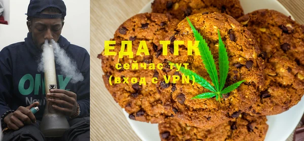 гашик Алексин