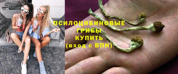 гашик Алексин