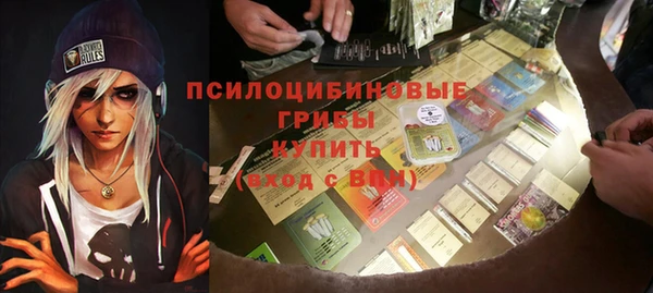 мдпв Алексеевка