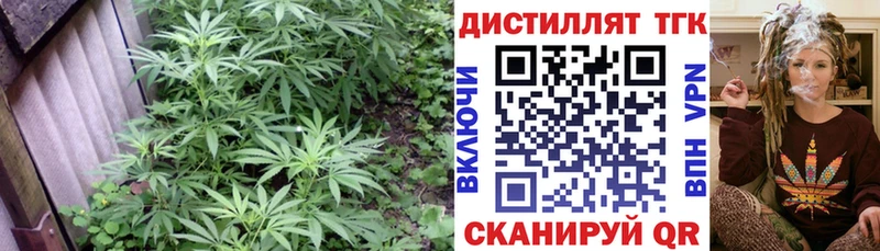 ОМГ ОМГ как войти  где найти   Хвалынск  Дистиллят ТГК THC oil 